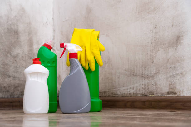 Why You Should Choose Our Mold Remediation Services in Placeholder9